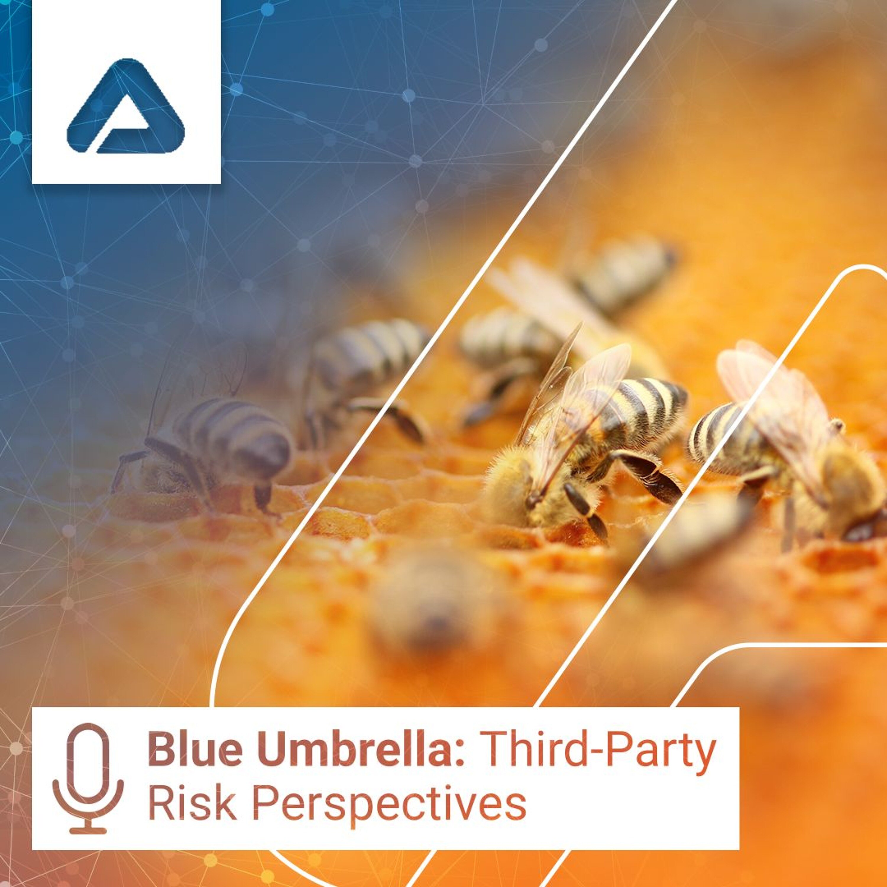 Beyond Legal Risks in Third-Party Risk Management