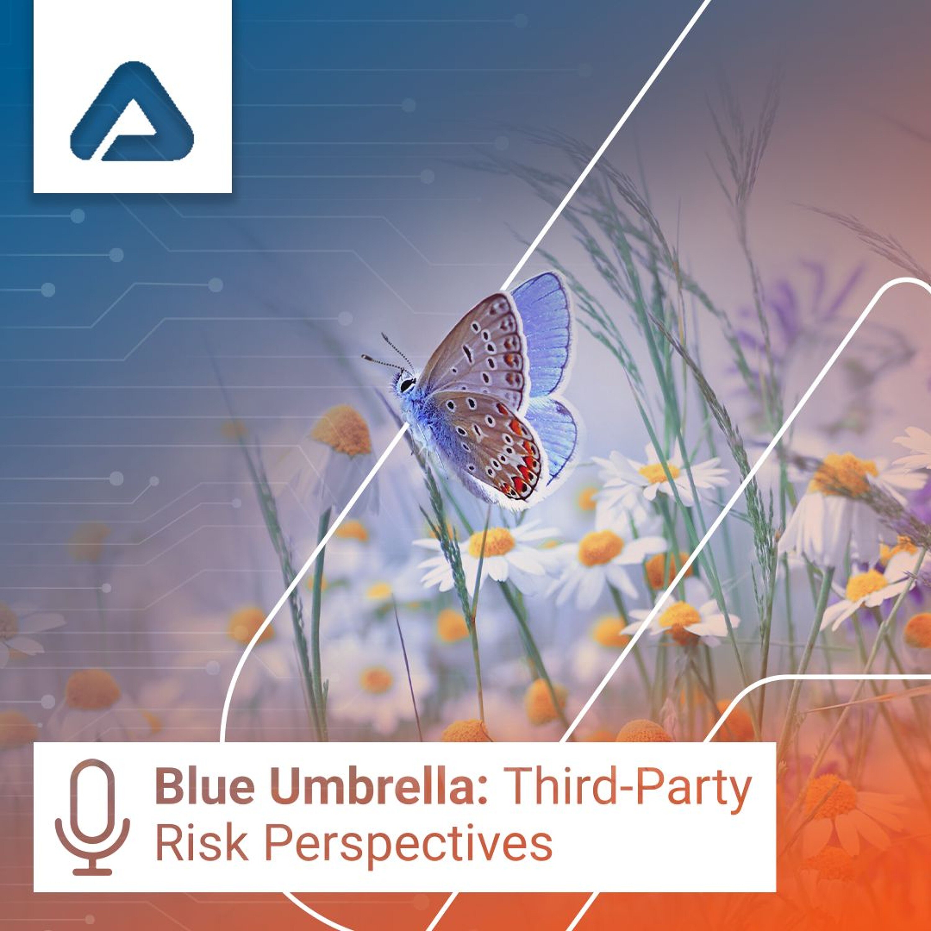 Using Technology in Third-Party Risk Management