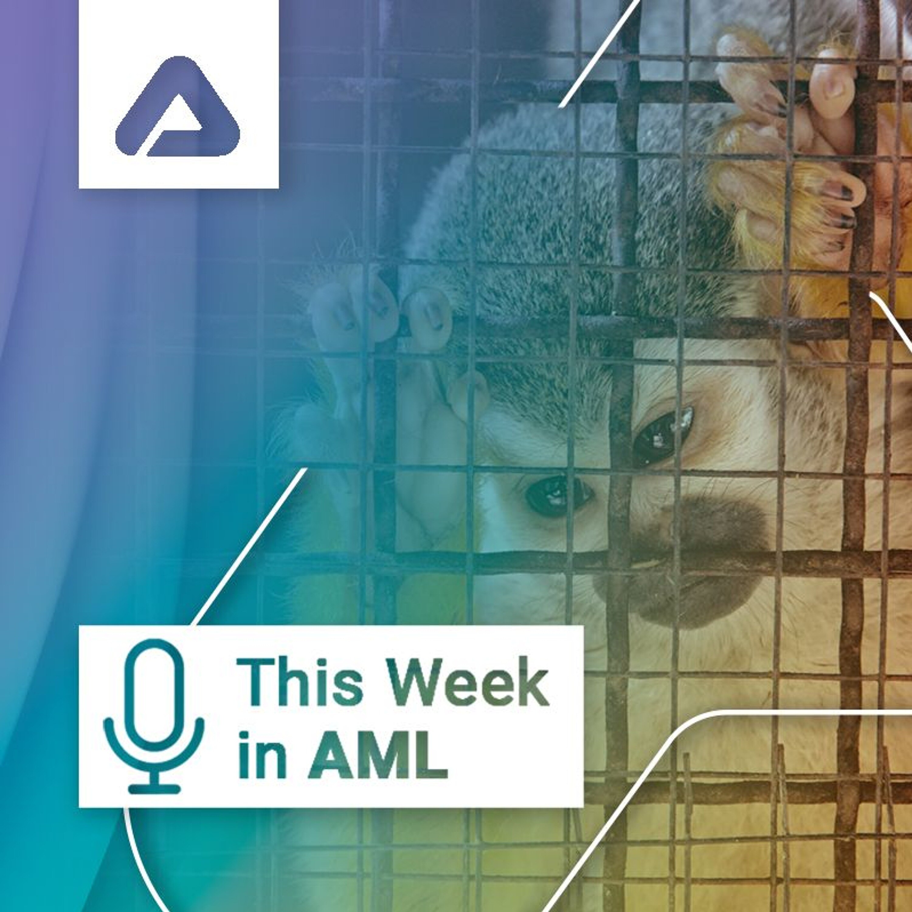 Wildlife Trafficking, Payment Fraud in the EU, Fentanyl in Canada, and Much More